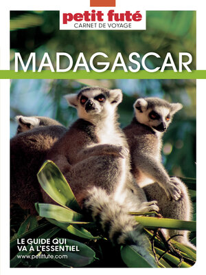 cover image of MADAGASCAR 2022 Carnet Petit Futé
